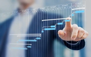Contact Silver Beech Solutions